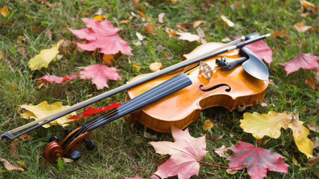 バイオリンと落ち葉